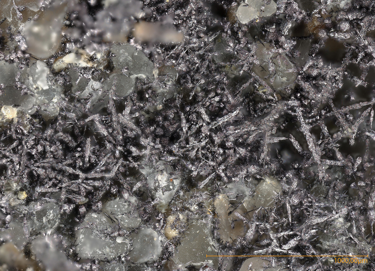 Selenium