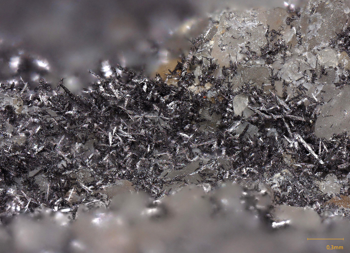 Native Selenium