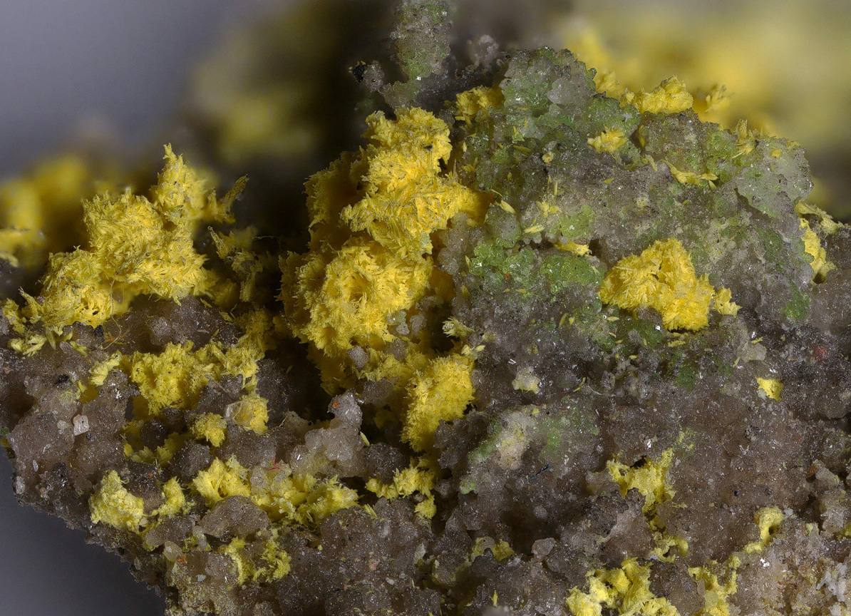 Bayleyite & Andersonite
