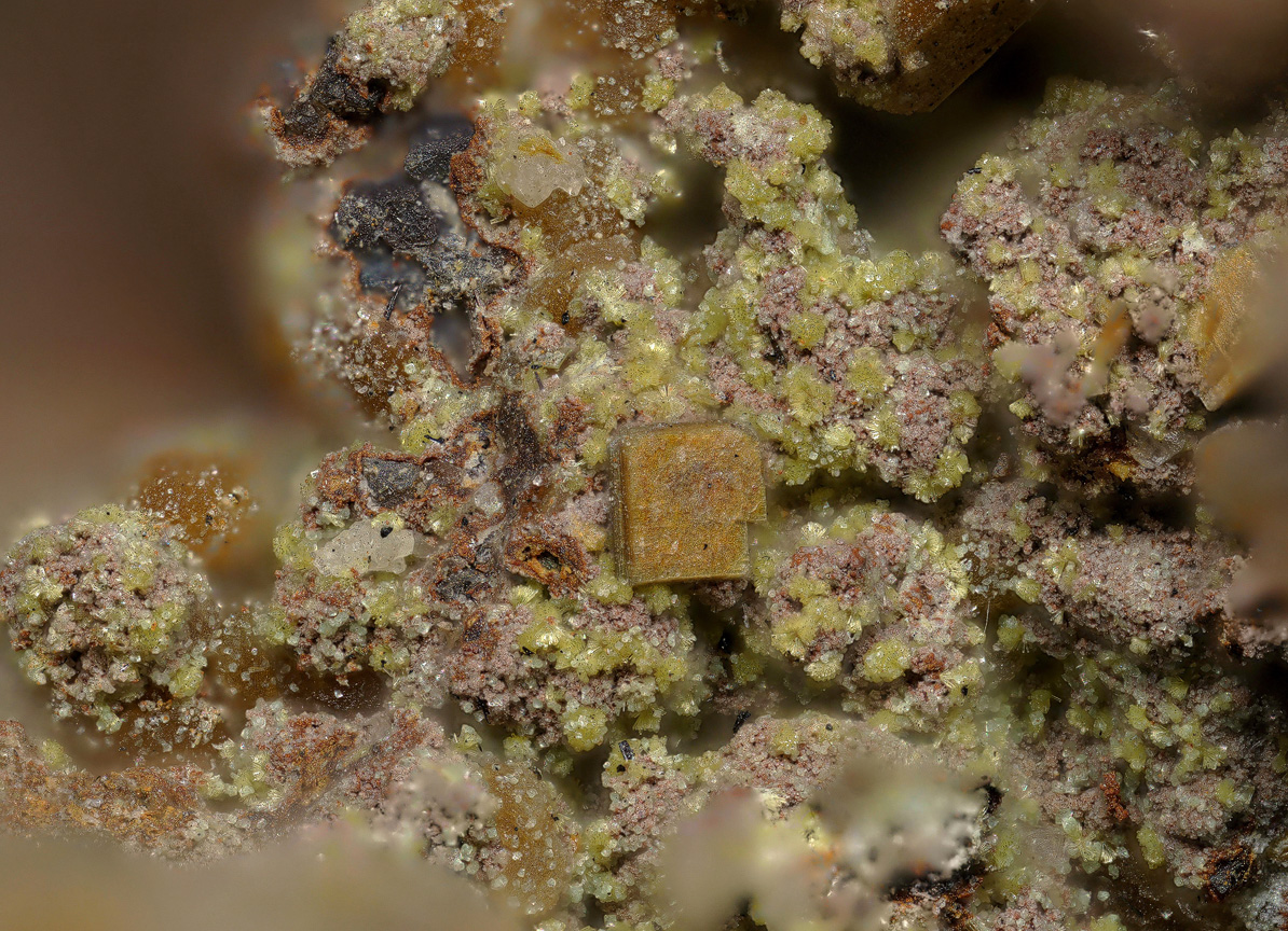 Parsonsite