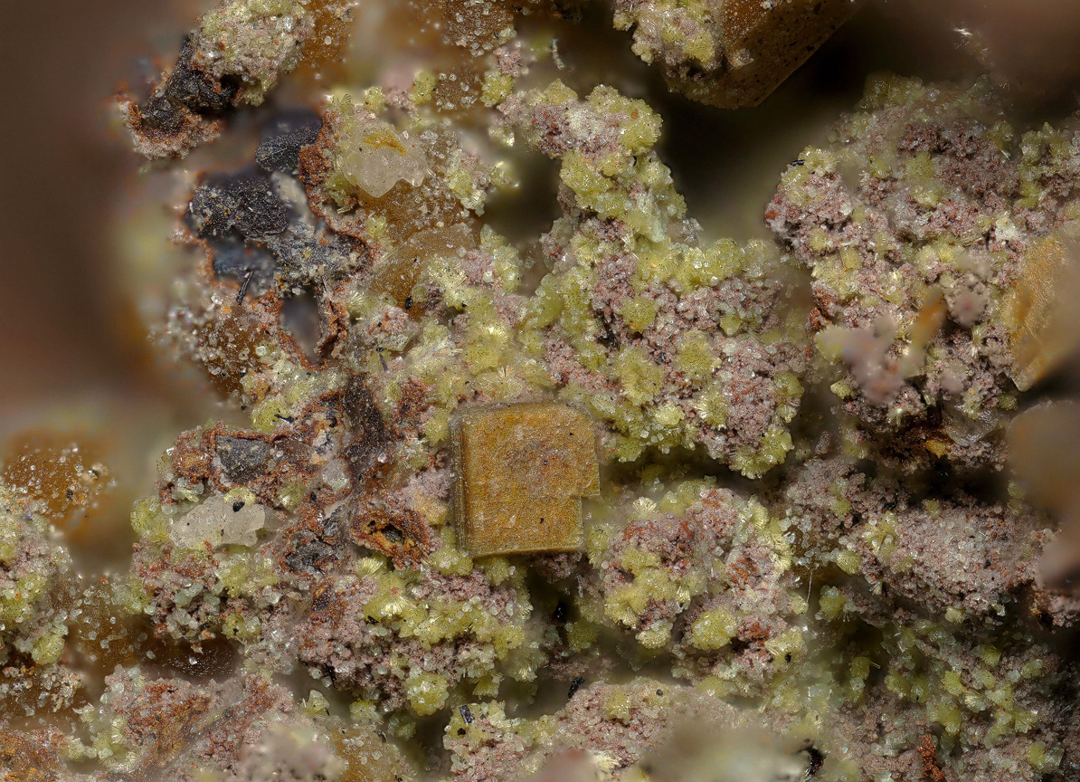 Parsonsite