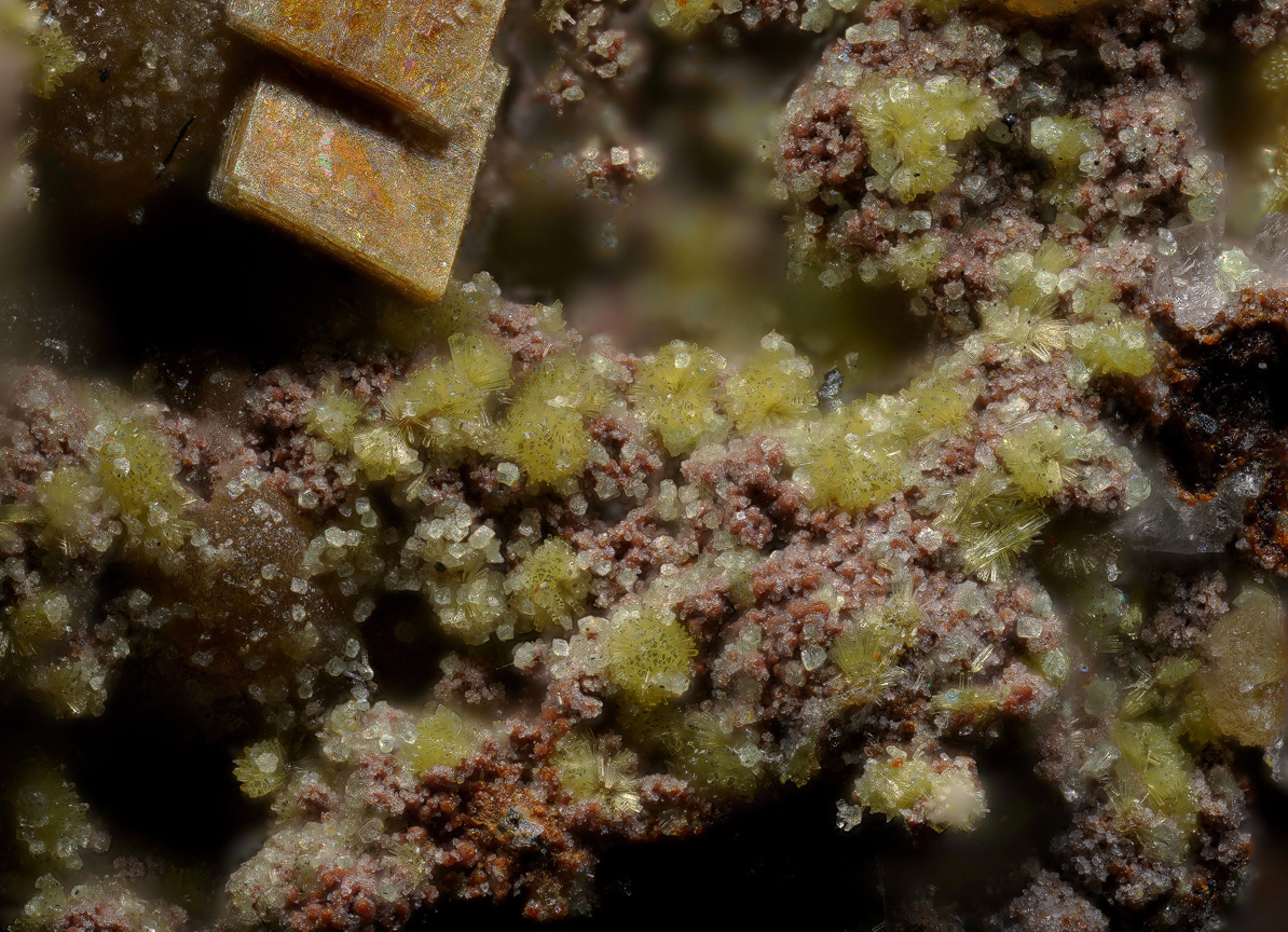 Parsonsite