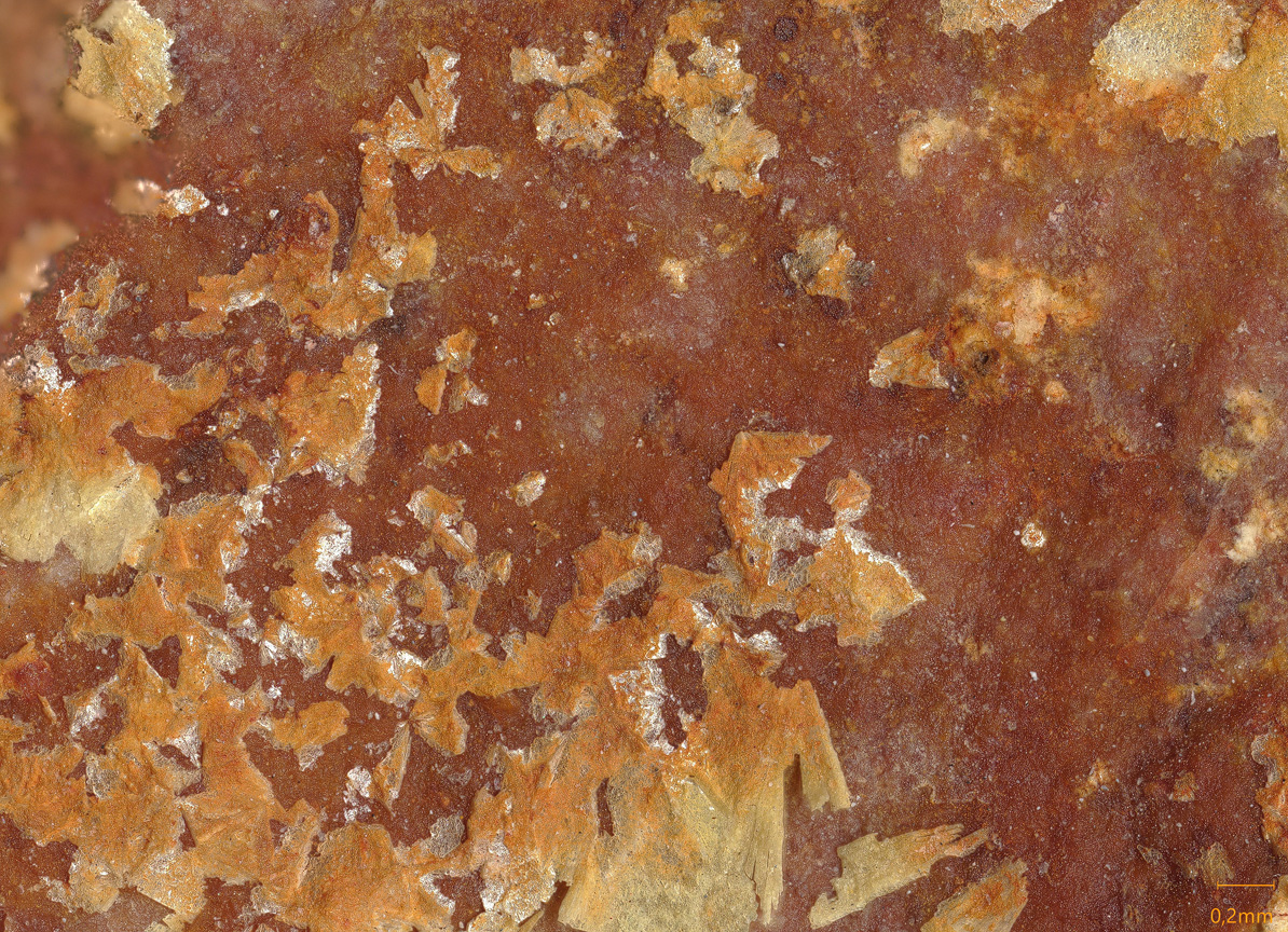 Uramarsite