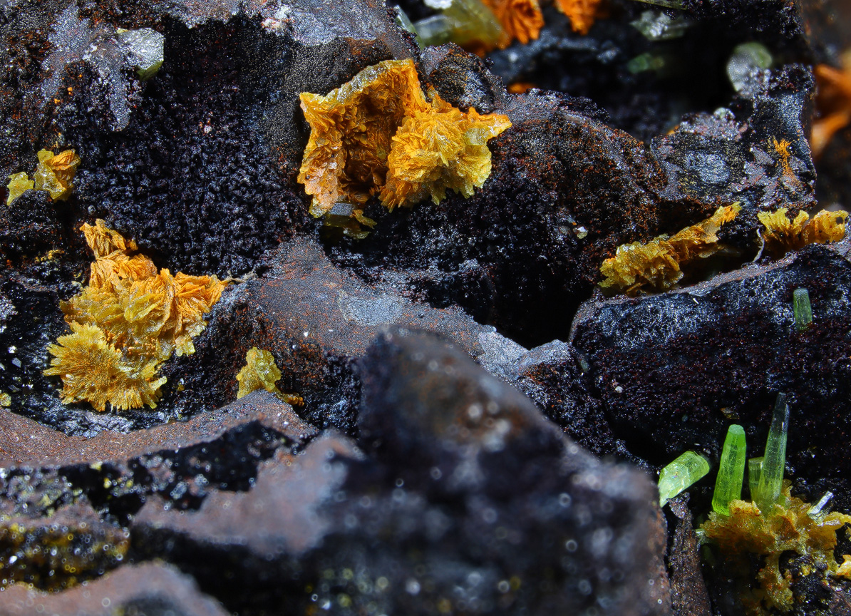 Pattersonite