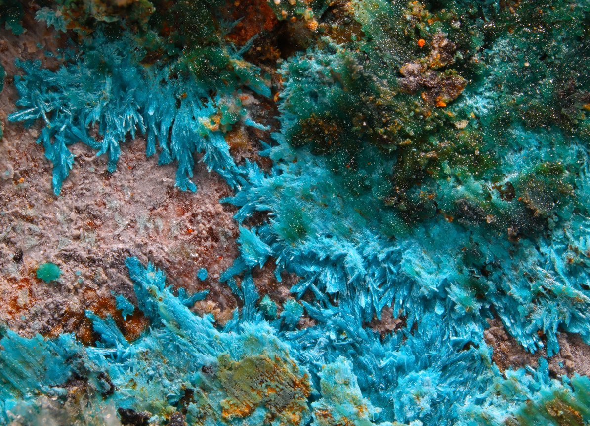Kapellasite