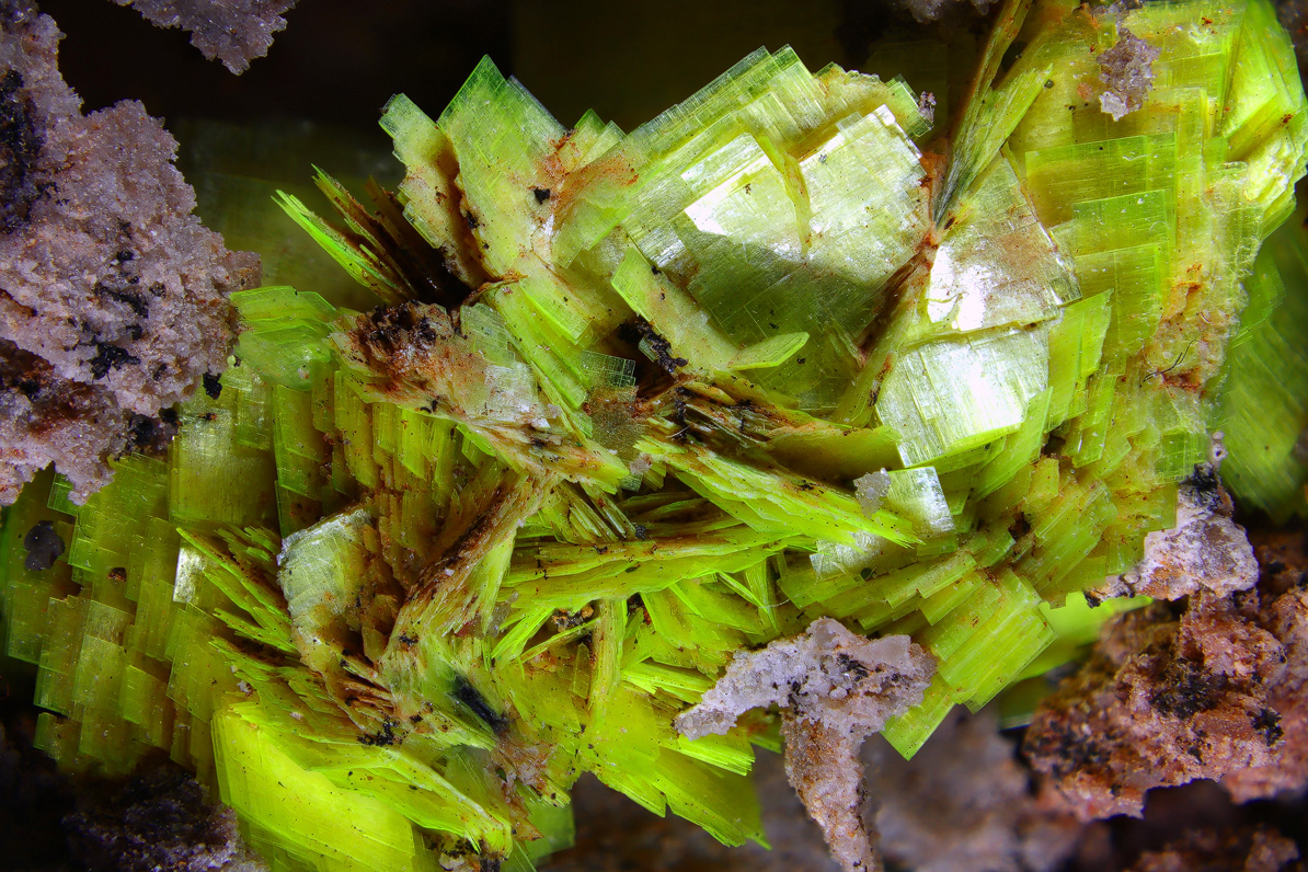 Uranocircite