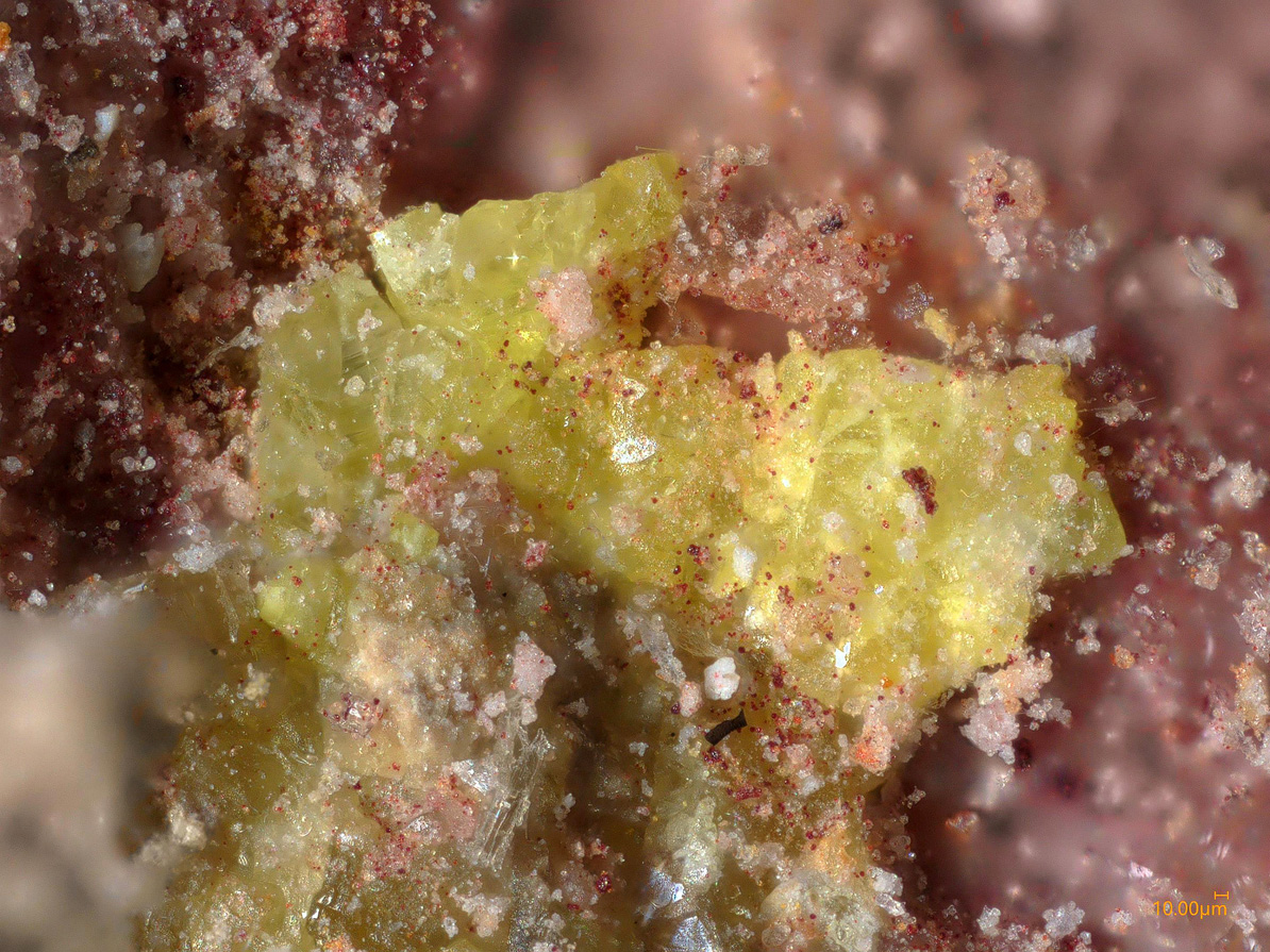 Mosesite