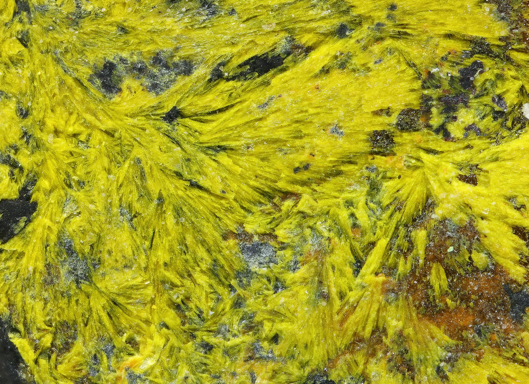 Kamotoite-(Y)