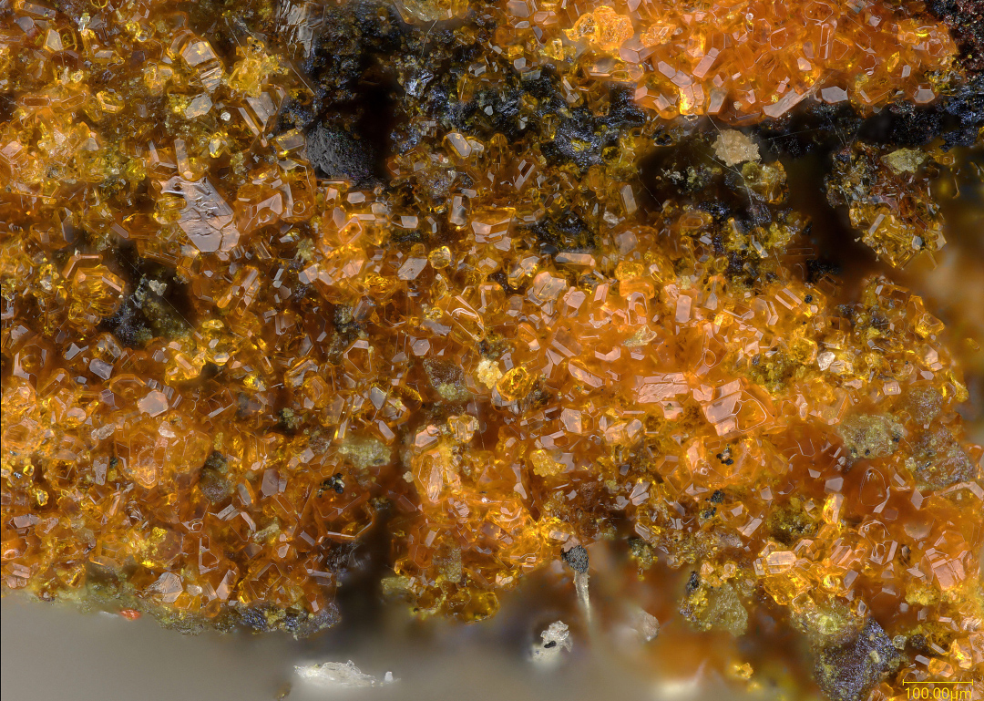 Schindlerite