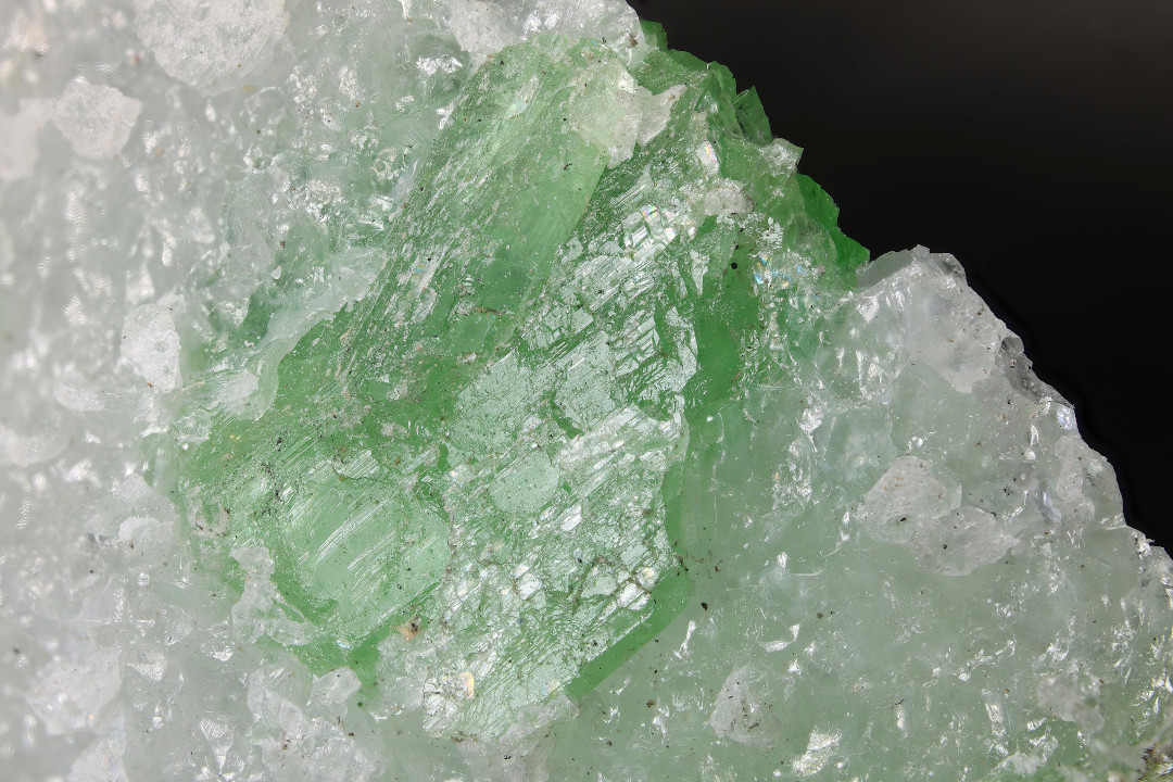 Pargasite