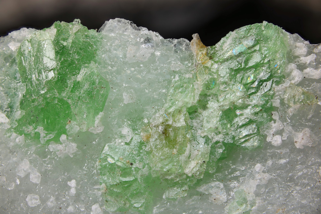 Pargasite