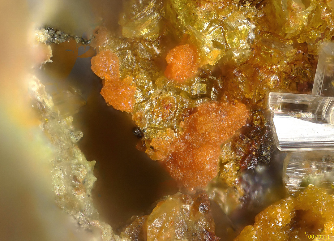 Fourmarierite & Metaschoepite
