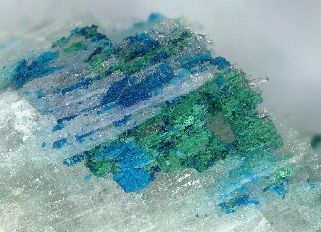 Ammineite & Shilovite