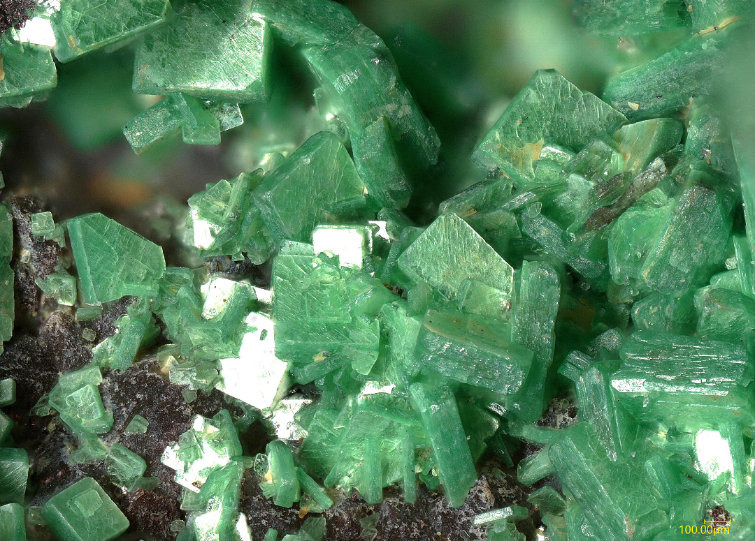 Metatorbernite