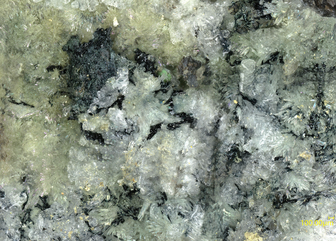Vanarsite