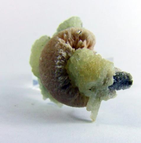 Pectolite & Prehnite