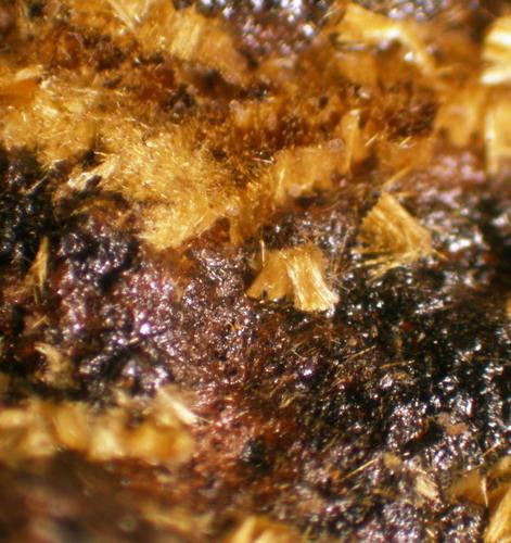 Kapundaite