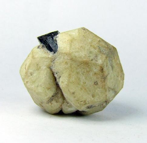 Leucite & Augite