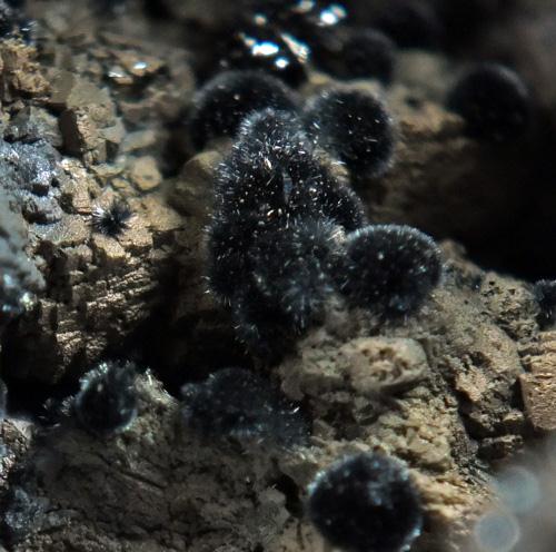 Romanèchite On Pyrolusite & Dolomite
