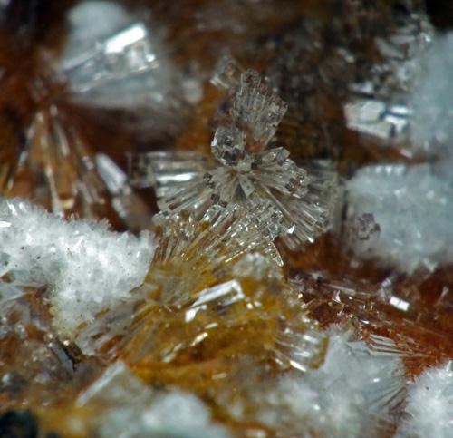 Aldermanite & Minyulite