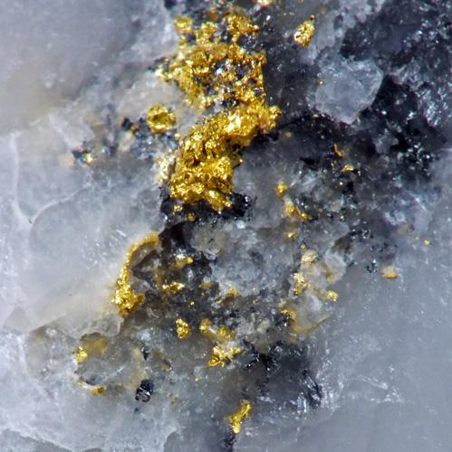 Native Gold & Unnamed
