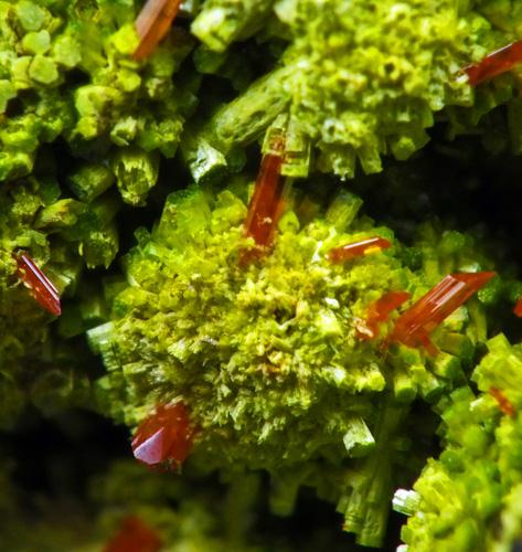 Pyromorphite & Crocoite