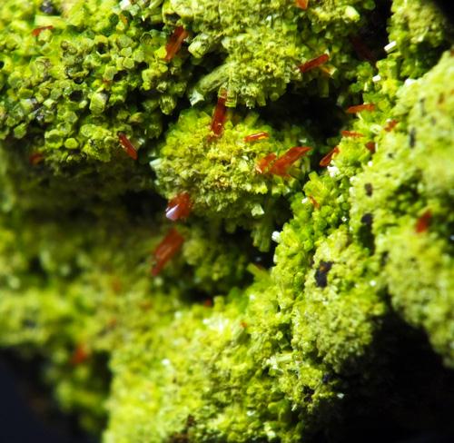 Pyromorphite & Crocoite