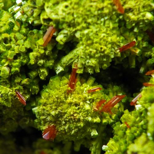 Pyromorphite & Crocoite