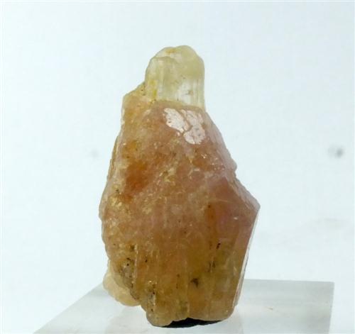 Hackmanite & Winchite