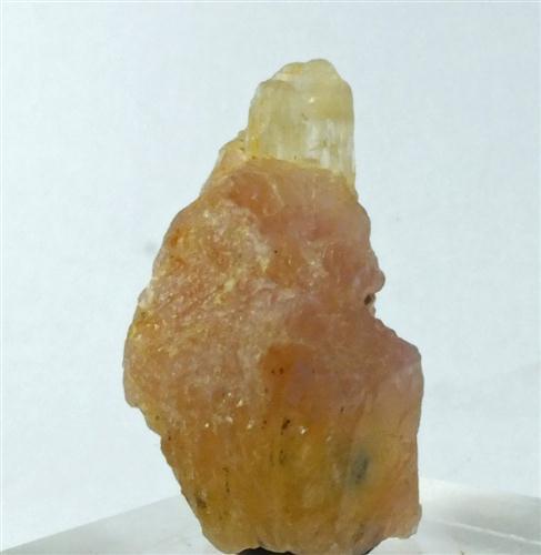 Hackmanite & Winchite