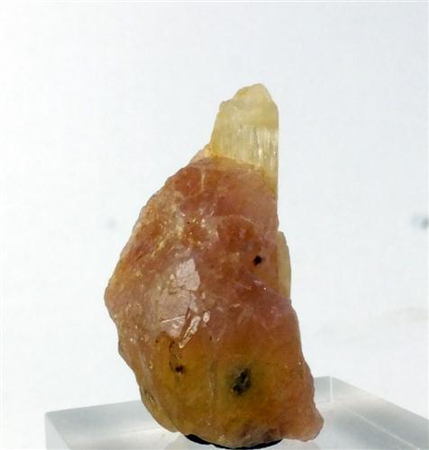 Hackmanite & Winchite