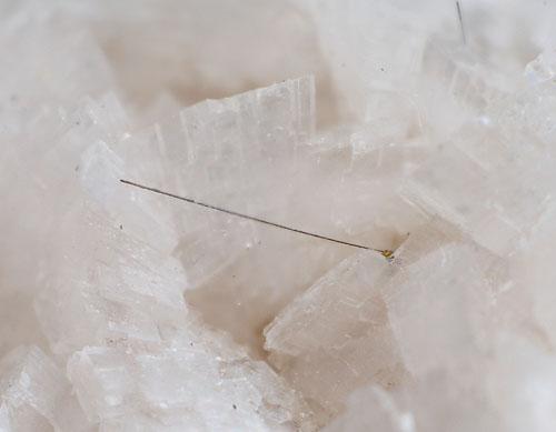 Pyrite Millerite & Dolomite
