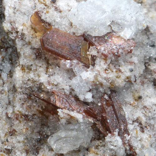 Fluoro-magnesio-hastingsite