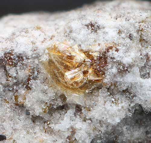 Fluoro-magnesio-hastingsite