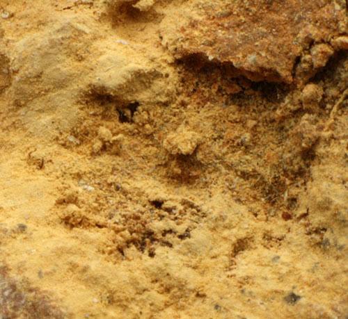Plumbojarosite