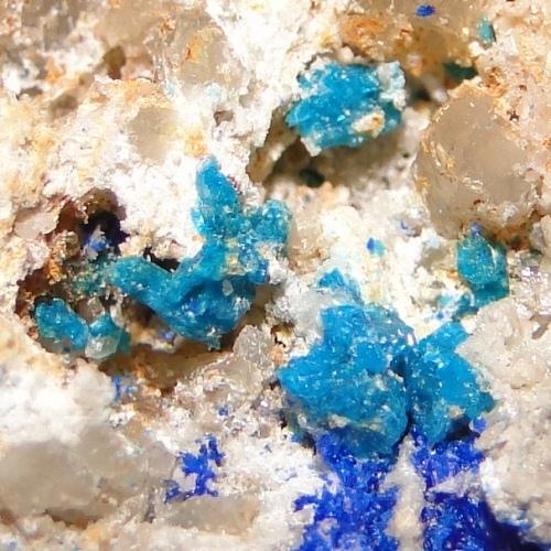 Caledonite & Linarite
