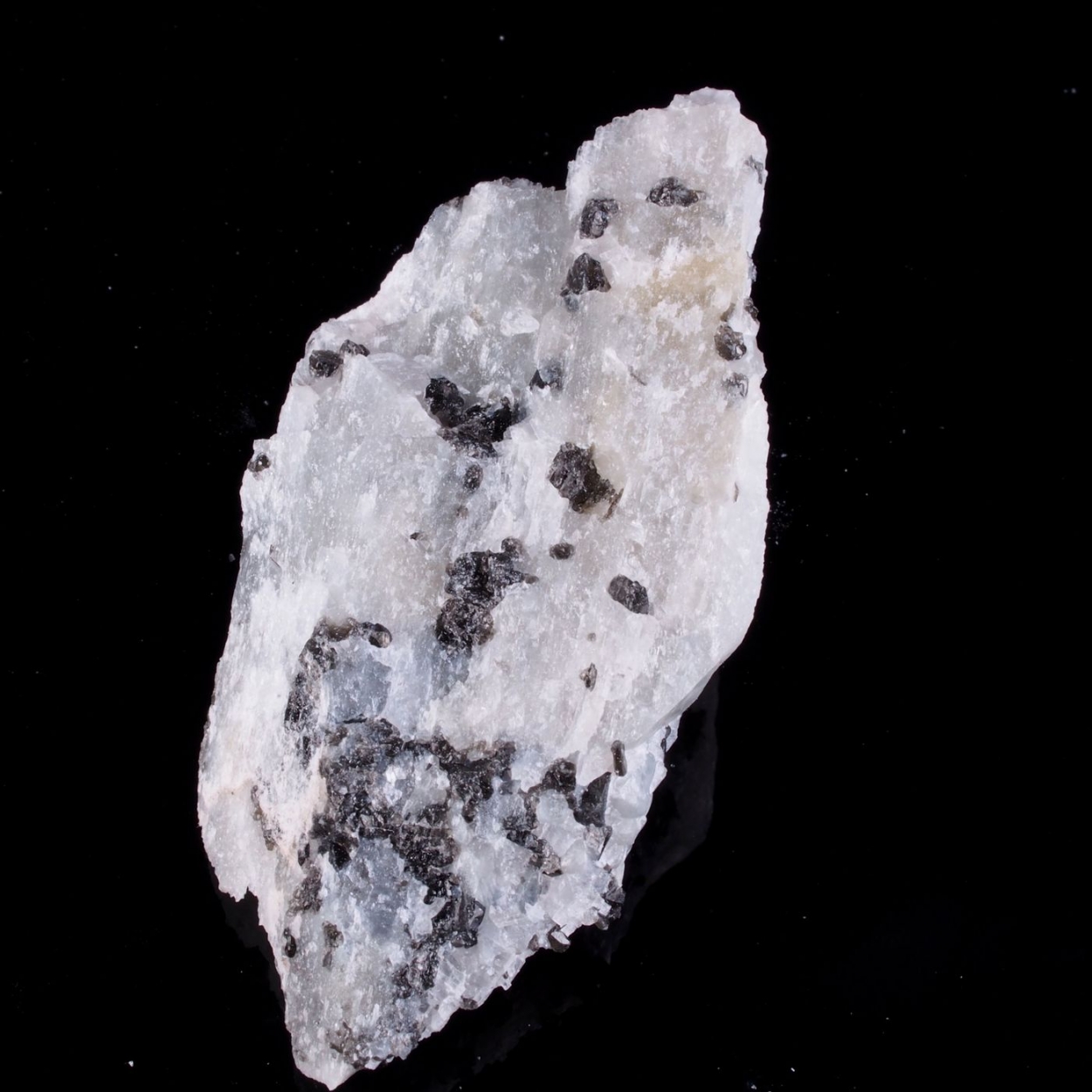 Potassic-pargasite