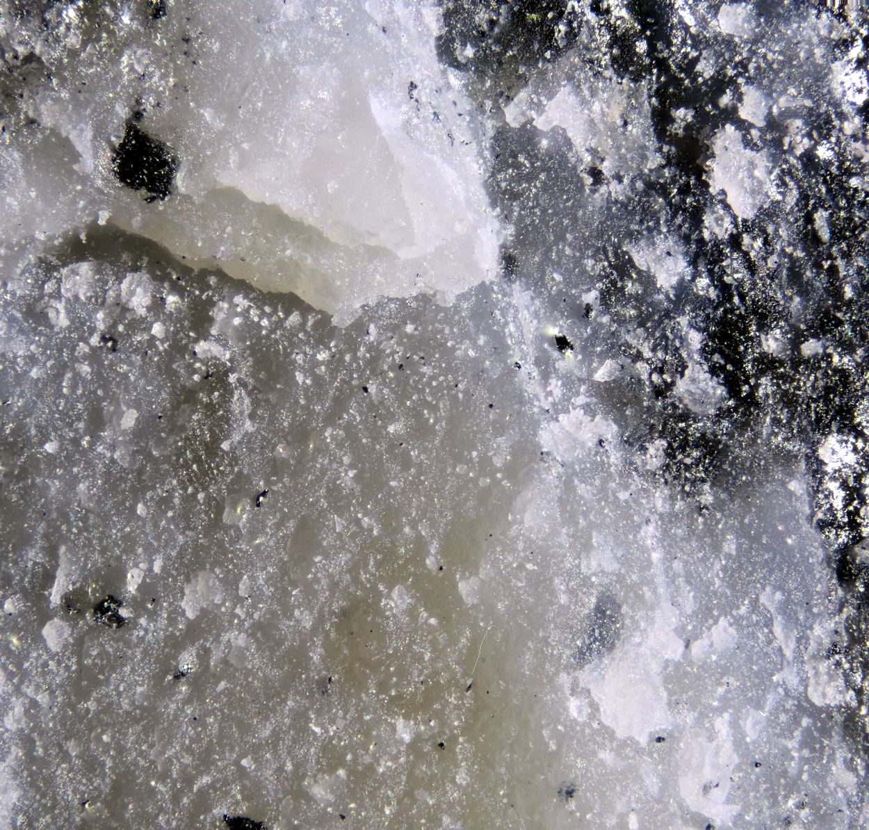 Vimsite