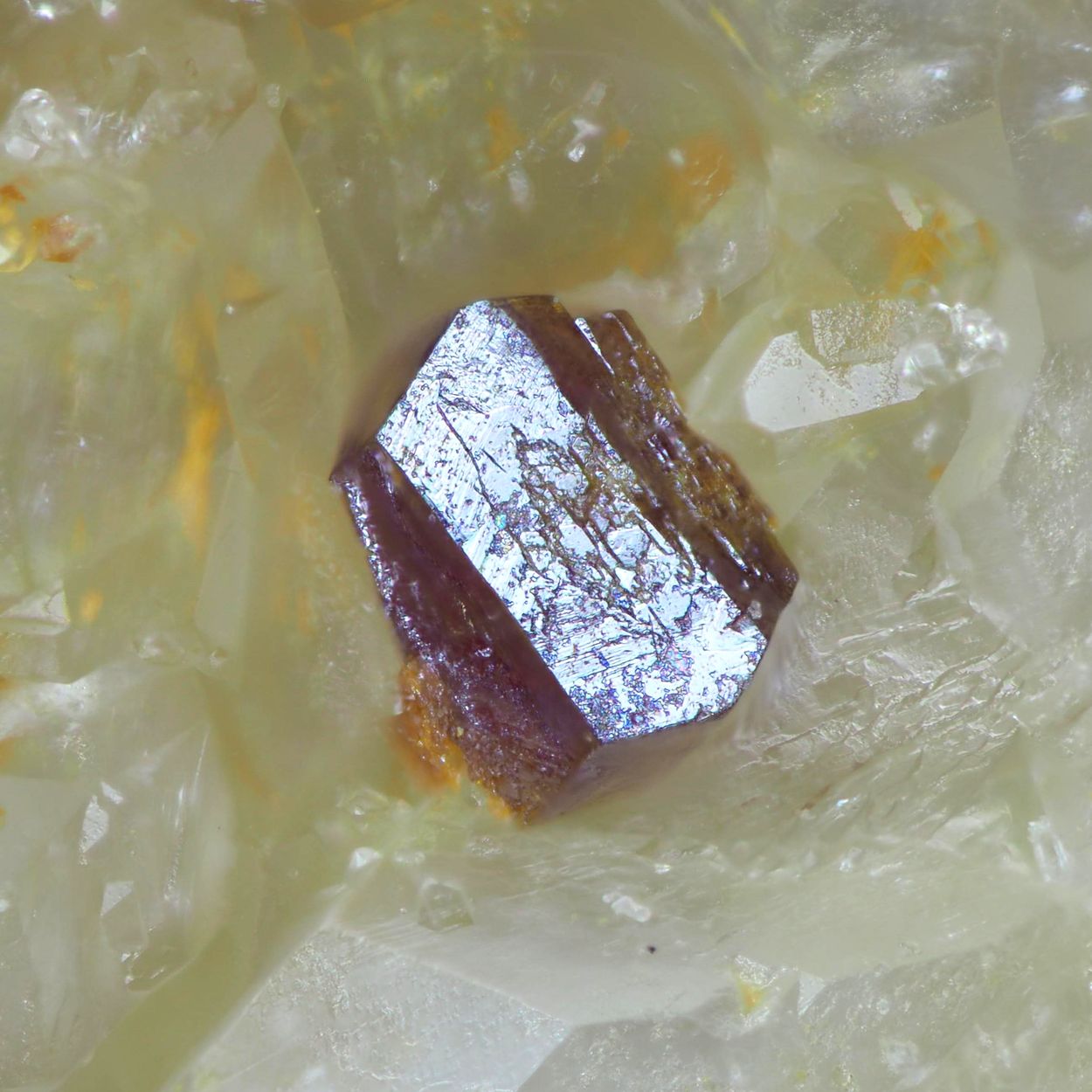 Clinobisvanite