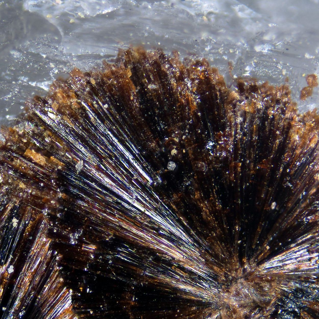 Macfallite