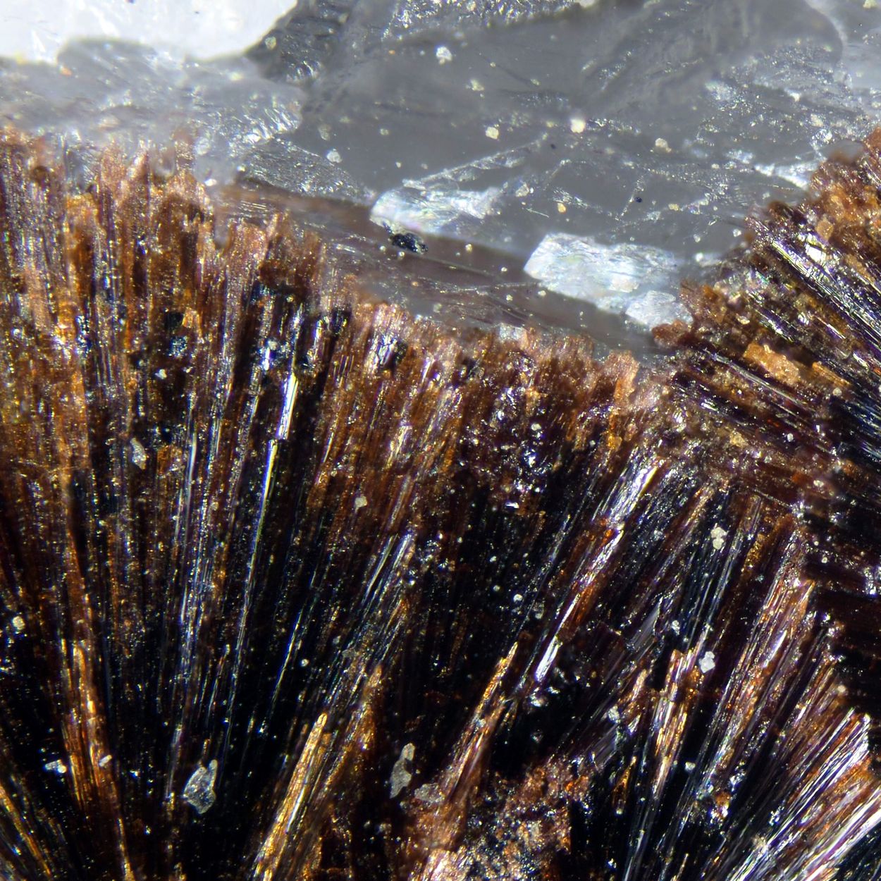 Macfallite