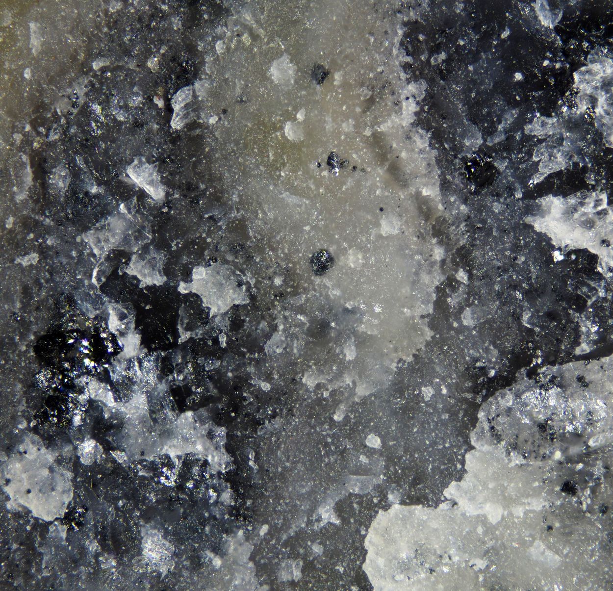 Vimsite