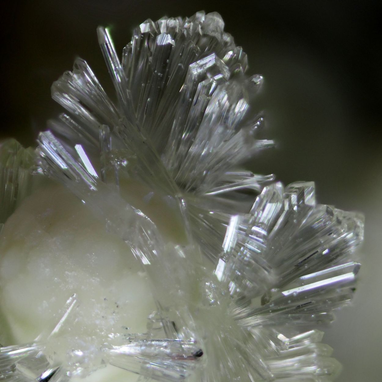 Faustite & Wavellite