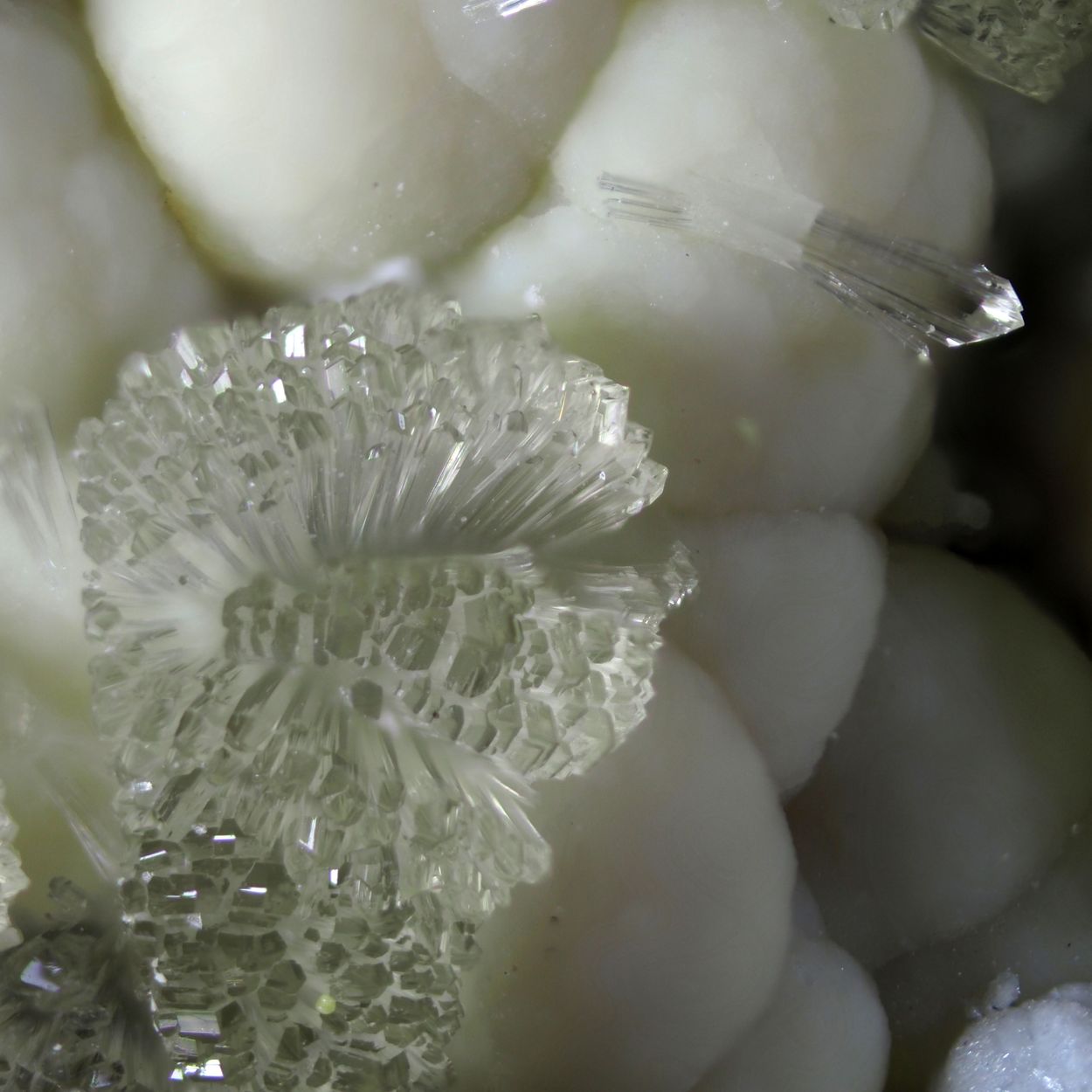 Faustite & Wavellite