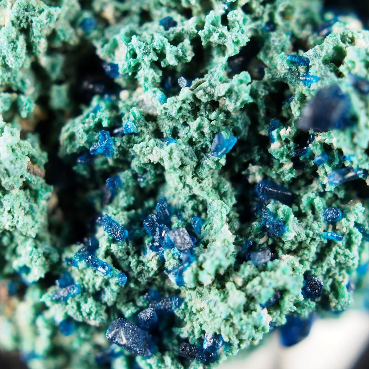 Hoganite