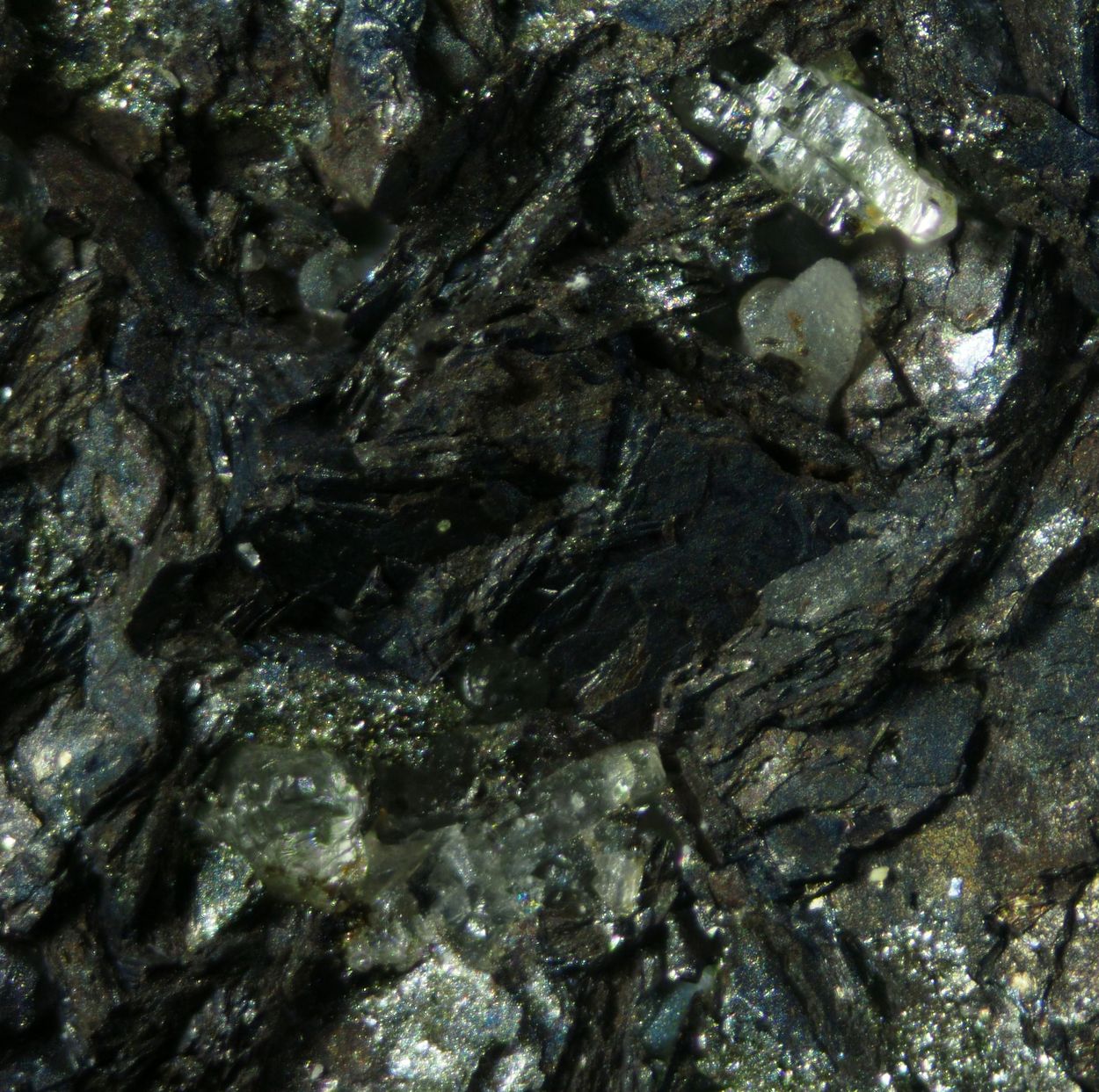 Pyrochroite