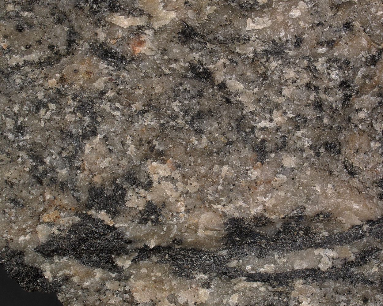 Iimoriite-(Y)