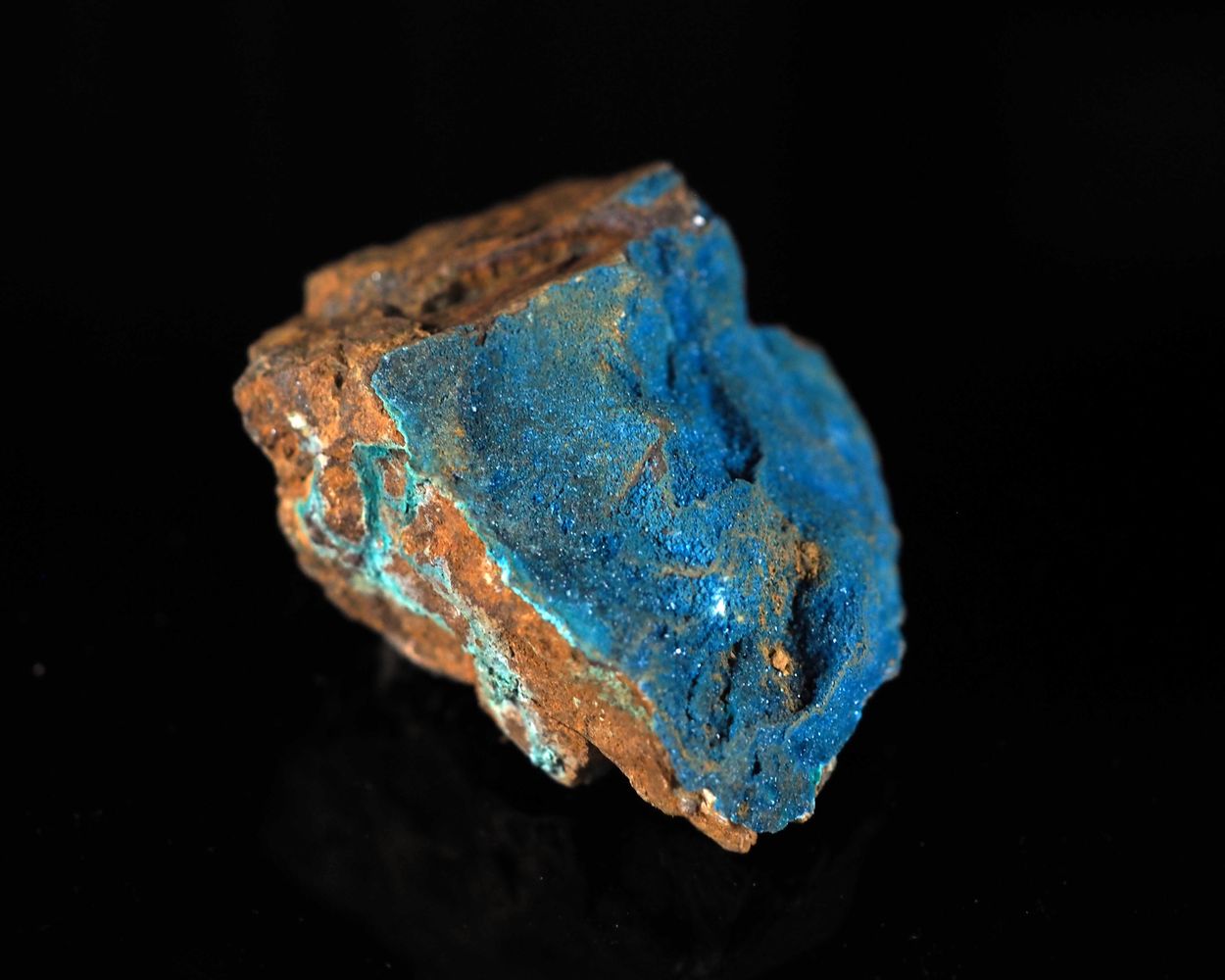 Posnjakite