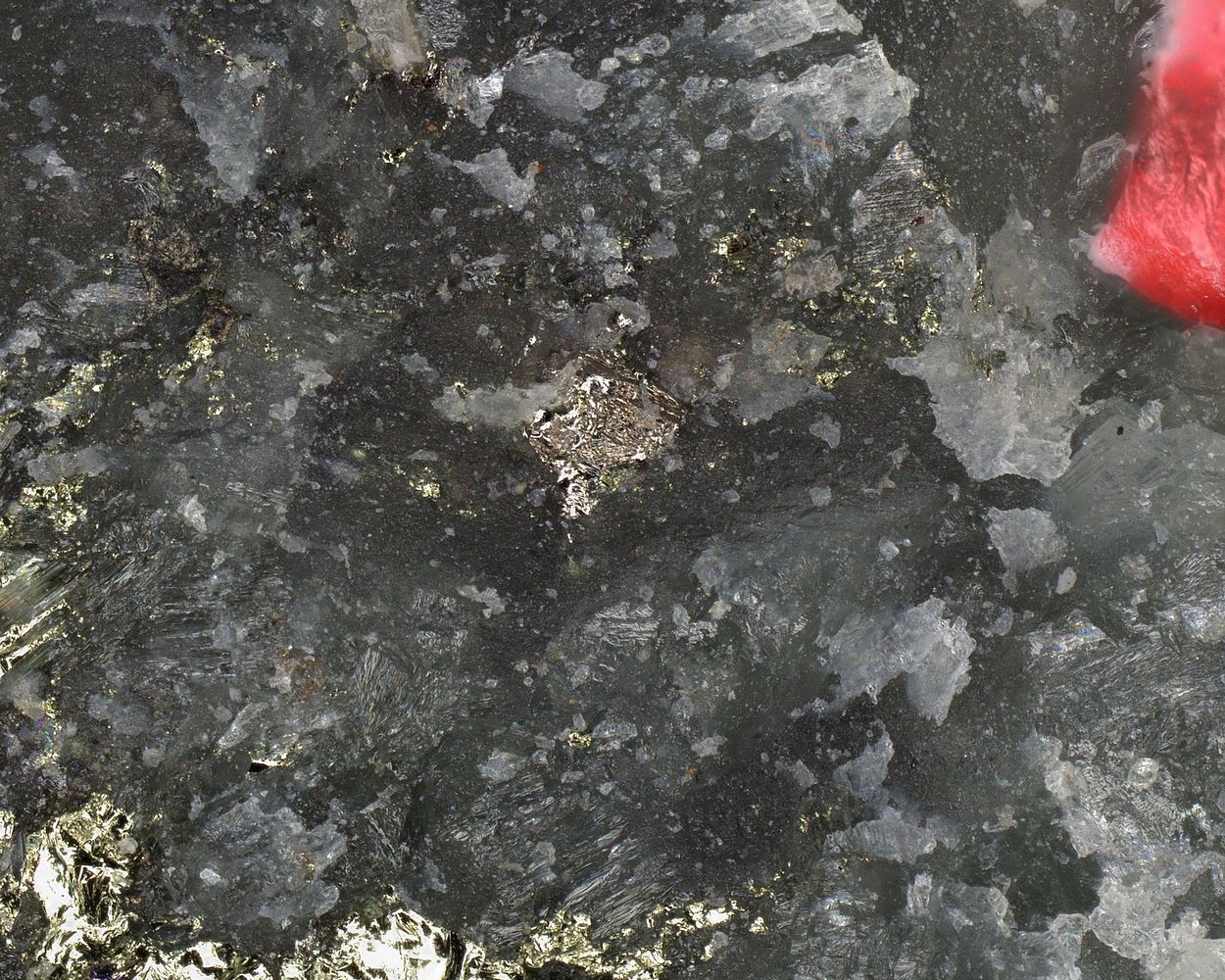 Ardaite