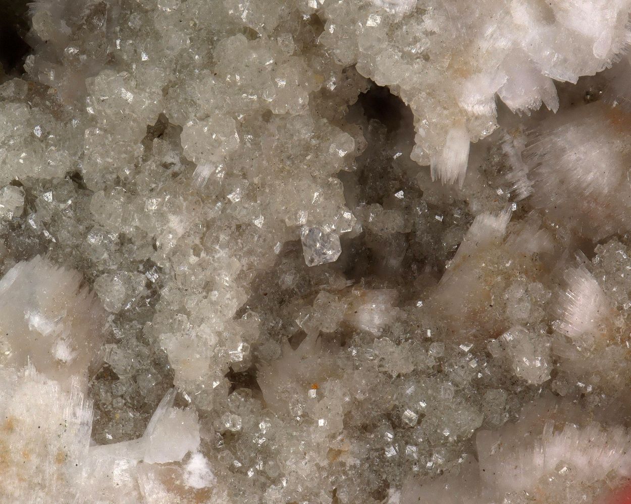 Behoite